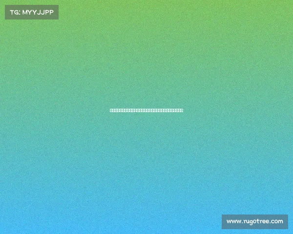 莱因克尔谈聘用孔帕尼：这是一场赌博，他无法与瓜迪奥拉相提并论